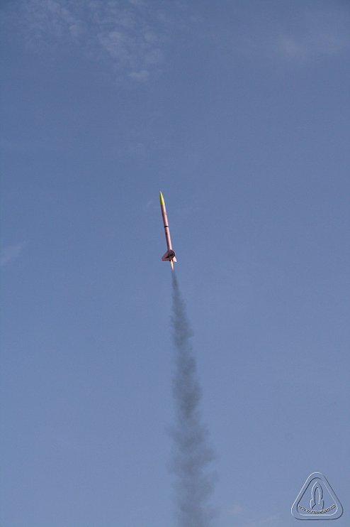 2013 Svojek Mirek Topinka